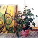 Malerei und Ölbilder: Kombinationsbild - Reliefbilder II 1/8<br />Öl auf Gußplatte, - 8-teilig,  - je 52 x 72 cm,  - 1989 - Kombinationsbilder sind Legebilder, beliebig drehbar und miteinander vielseitig kombinierbar....
